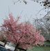 Laura Behrendt - Facebook
