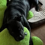 Laura Behrendt Beardsley - @lbearsley64 - Instagram