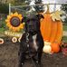 Laura Behrendt Beardsley - Facebook