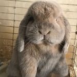 Laura Benfield - @laura.benfield7 - Instagram