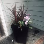 Laura Bentz - Facebook