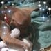 Laura Berberian - Facebook