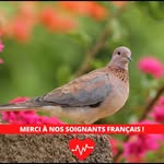 Laura Billon - @lorartemis9840 - Instagram