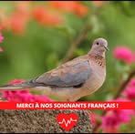 Laura Billon - Facebook