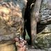 Laura Binford - Facebook