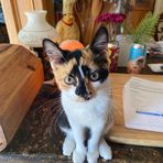 Laura Binkowski - Facebook