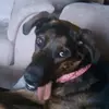 Laura Blake - @laura.blake45 - TikTok
