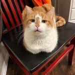 Laura Blaylock Hickman - @laflady52 - Instagram