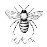 Laura Bleichner - @lkbee_film - Instagram