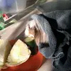 Laura.Blöcker - @laura.mika - TikTok