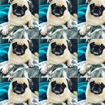 Laura Bodnar - @nic_nie_wiem_nie - Instagram