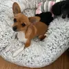 Laura - @laura_boeh - TikTok