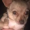 lauraboe129 - @lauramaeboe - TikTok