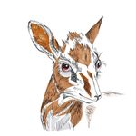 Laura Bork - @laura_bork_fotograf - Instagram