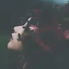 Laura Bostic537 - @laurabostic0 - TikTok