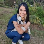 Dra. Laura Botero 🐾 - @lauraboteromedvet - Instagram