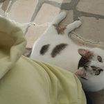 Bourgouin Laura - @laurabourgouin - Instagram