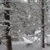 Laura Braasch - @laura.braasch - TikTok
