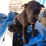 Laura Bracamonte - @olinad777 - Instagram