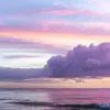 laurabracamonte439 - @_.just.laura._ - TikTok