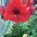 Laurie A Brainard - Facebook