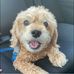 Lori Hoyt Brainard - Facebook