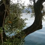Laura Brembilla - @laurabrembilla1960 - Instagram