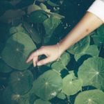 Laura Bridges - @bylaurabridges - Instagram