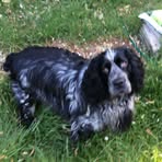 Laura Bridgeman - Facebook