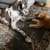 Laurie Bromley - @laurie.bromley8 - TikTok