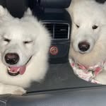 Laura Buczek - @rose02280228 - Instagram