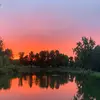 lauraburns2840🐙🐙🦌💜💚🤠💙🖤 - @lauraburns2840 - TikTok