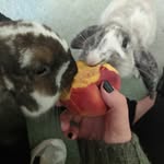 Laura Button - @button.shoppe - Instagram