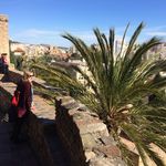 Laura Caley - @lcaley1658 - Instagram