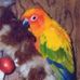 Laura Canaday - Facebook