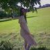 Laura Canning - Facebook