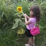 Laura Canton - @laura_vitoria_canton - TikTok