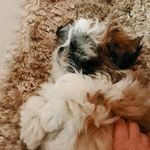 laura_canton - @laura_vitoria_canton - Instagram