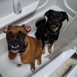 Laura Canton - @mostlyrobertandhila - Instagram