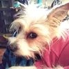 Laura aka Lucy's Mom - @lauracanup - TikTok