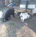 Laura Canup - Facebook
