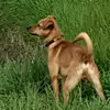 Laura Capozzi - @lauracapozzi1 - TikTok