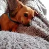 lauracapozzi4555 - @lauracapozzi4555 - TikTok