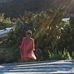 Laura Celli - Facebook