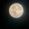 lauracelli6 - @lauracelli6 - TikTok