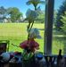 Laura Chaffee - Facebook