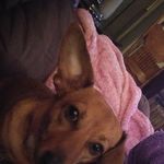 Laura Chavis - @laura.chavis.7923 - Instagram