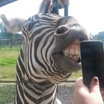 Laura Cheatham - @lc118 - Instagram