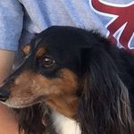 Laura Chenault Caskey - @laura.c.caskey - Instagram