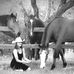 Laura Poznecki Chenault - Facebook